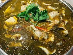 -蓉城鱼馆•活鱼现做(六道湾店)