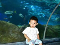 -大连圣亚海洋世界