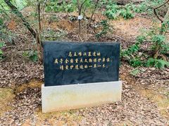 -马王堆汉墓遗址
