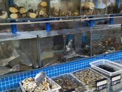 水产区-富临港·蒸汽海鲜·手抓海鲜·炒菜(栈桥店)