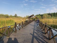 -溱湖国家湿地公园