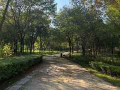 -燕郊植物园