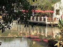 -尚贤河湿地
