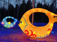 -青龙湖公园