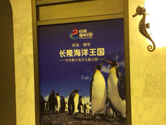 -长隆横琴湾酒店(珠海旗舰店)