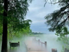 -东湖落雁景区