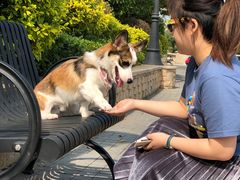 -美的鹭湖森林度假区