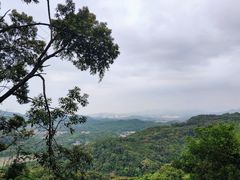 -广州市帽峰山景区