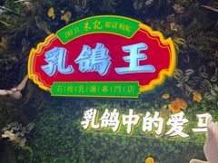 -朱记乳鸽王·非遗石岐乳鸽·全鸽宴(大兴旗舰店)