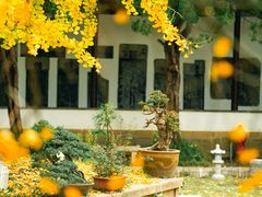 -苏州碑刻博物馆