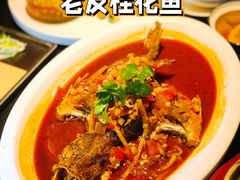 -桂小厨广西菜(青秀万达店)