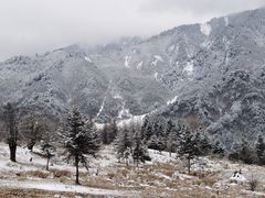 -硗碛藏寨·神木垒景区