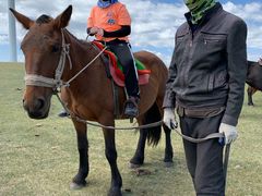 -敕勒川草原文化旅游区