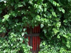 -斯多格书乡(北京大学畅春园店)