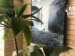 -绿房子心理咨询