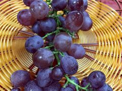 -麦园农庄·西江河鲜