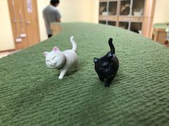 -猫和宫(六道口店)
