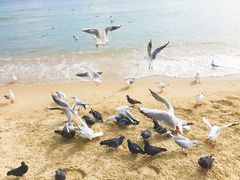 -海云台海滩