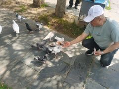 -杏花村文化旅游区