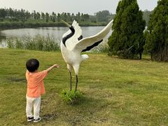 -盐城丹顶鹤湿地生态旅游区