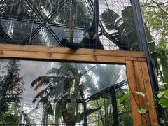-海南热带野生动植物园
