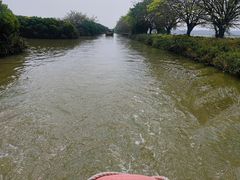 -大湾区中央湿地公园