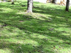 -硗碛藏寨·神木垒景区