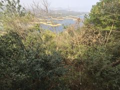 -千岛湖东南湖区