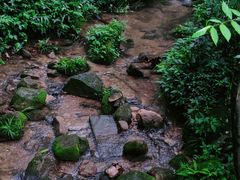 -青城山