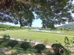 -风云岭森林公园