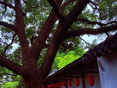-上海醉白池公园