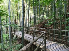 -山沟沟景区