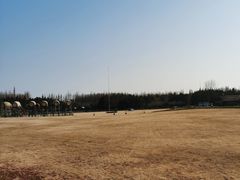 -东平国家森林公园