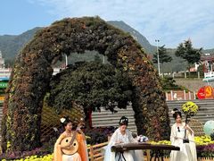 -沂蒙山旅游区云蒙景区(蒙山国家森林公园)