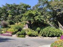 -广州市白云山风景名胜区