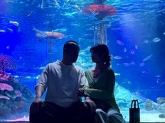 -沈阳海洋探索中心