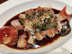 -觅唐MITONG(鸟巢店)