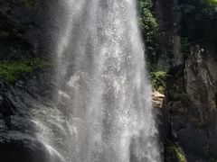 -九鲤湖风景区