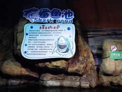 -南昌海洋公园