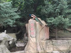 -哈尔滨北方森林动物园