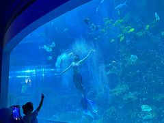 -威海华夏城景区