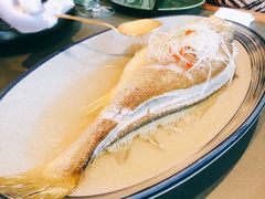 -晟永興烤鸭店(五道口店)