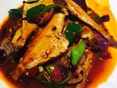 -酒肉行·虎子盐筋烤肉(大寨路店)