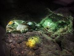 -湖南省地质博物馆