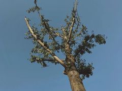 -重庆中央公园(渝北区)