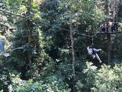 -西双版纳原始森林公园