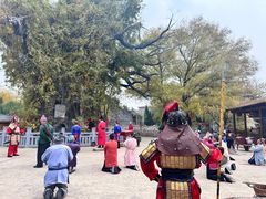 -大槐树寻根祭祖园