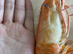 -乡乐园蟹庄·阳澄湖农家乐