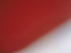 -白天鹅宾馆·月兔吧