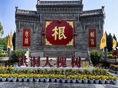 -大槐树寻根祭祖园